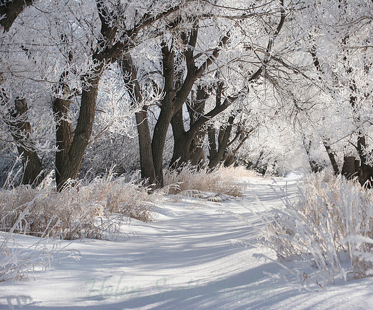 Winter 3