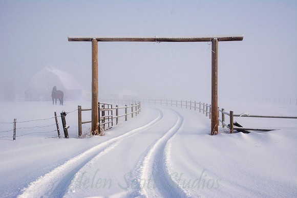 Winter 4