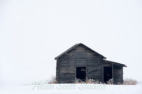 Winter 5
