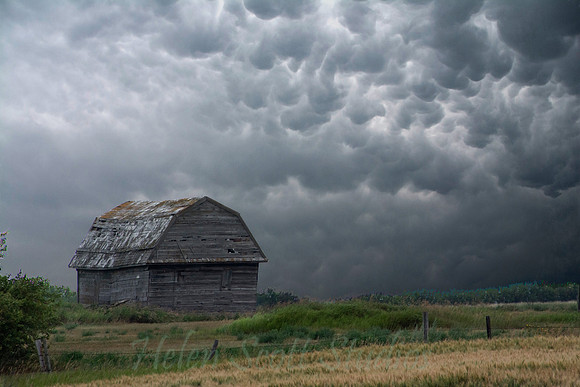 Summer Storm 1
