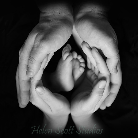 Newborn