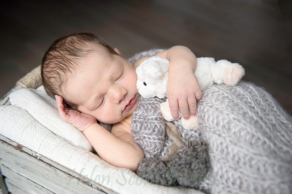 Newborn