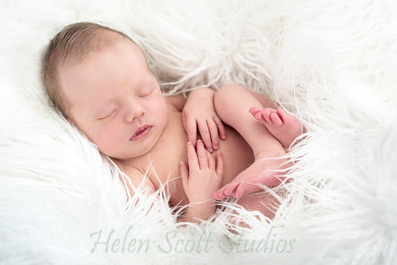 Newborn