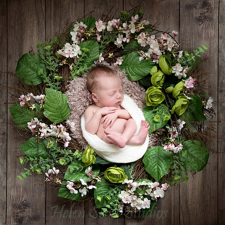 newborn